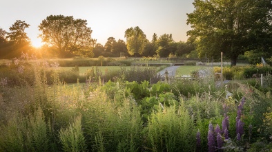 meadow garden