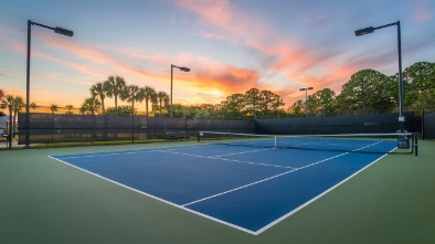 palmetto tennis center